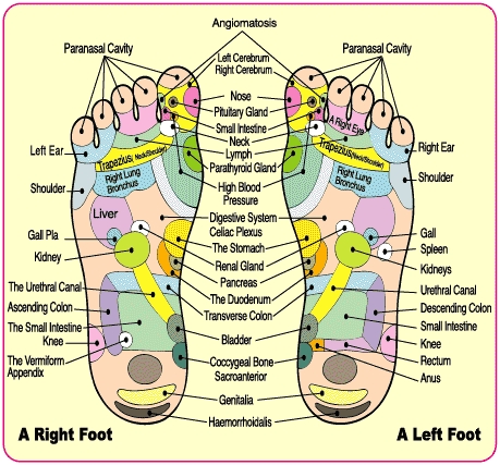 карта на масажните точки на краката
